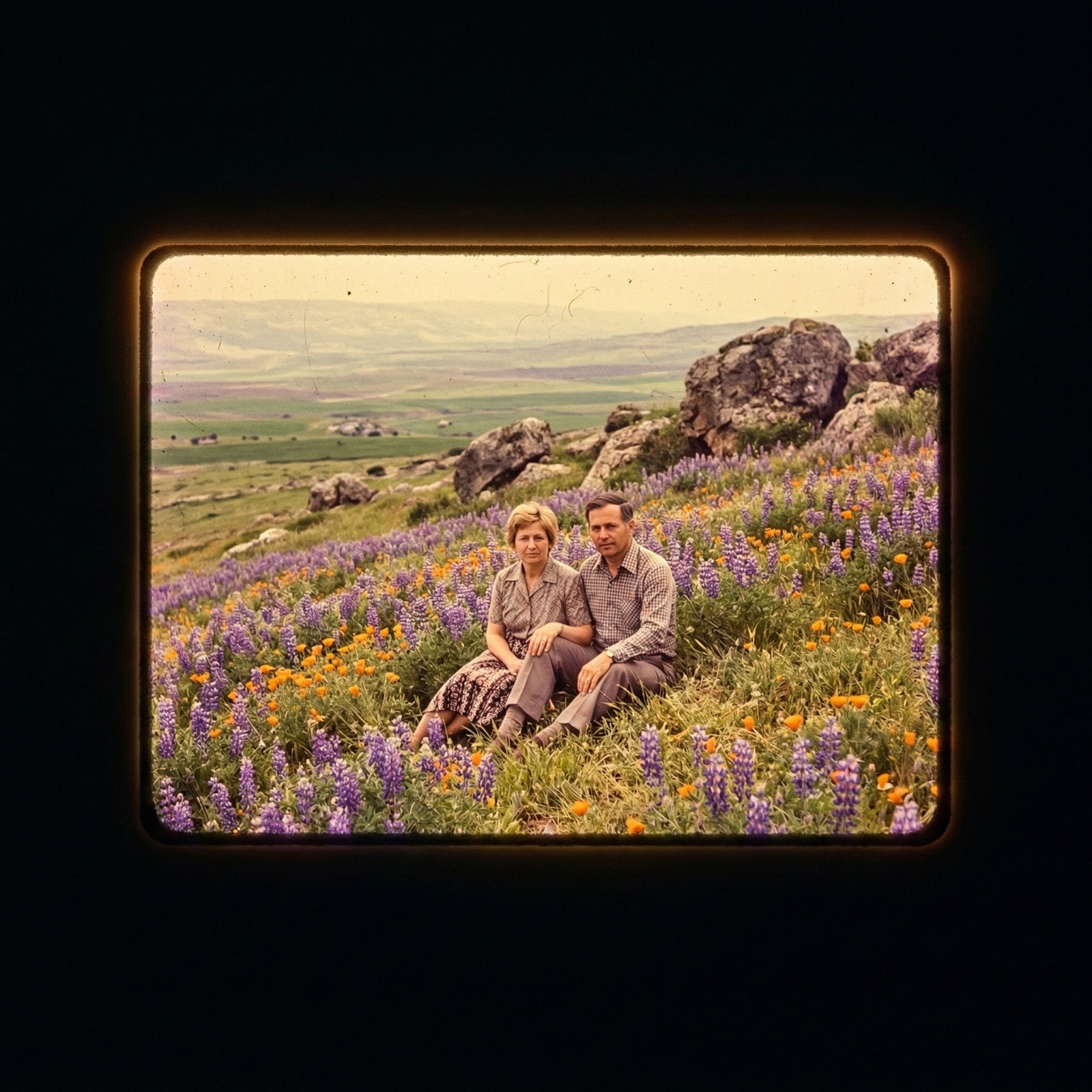 Miryam and Yoram sitting in a hillside field of lupines
